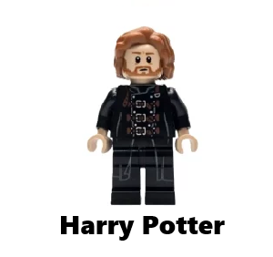 Harry Potter: "LEGO-Minifigur aus der Harry-Potter-Serie. Klicken Sie, um die vollständige Harry-Potter-Minifiguren-Kollektion zu sehen.
